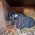Apartman Dorfblick Vom Muckesberg *