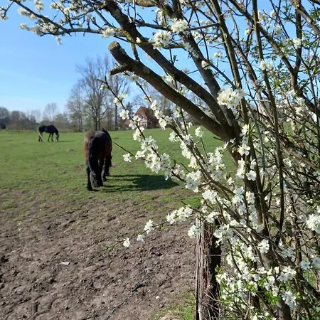 Dorfblick Vom Muckesberg Lägenhet Lübeck