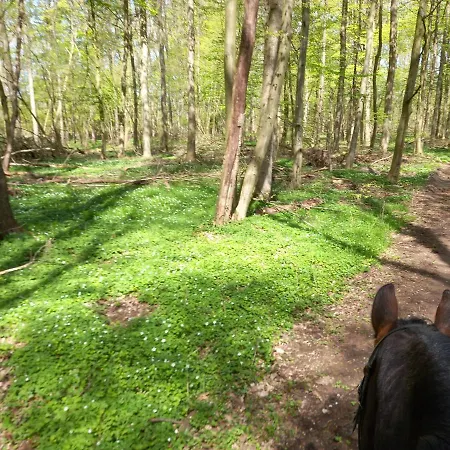 Dorfblick Vom Muckesberg Lübeck