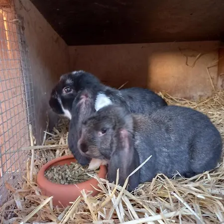 アパート Dorfblick Vom Muckesberg *