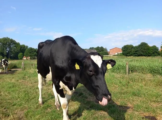 Dorfblick Vom Muckesberg Διαμέρισμα