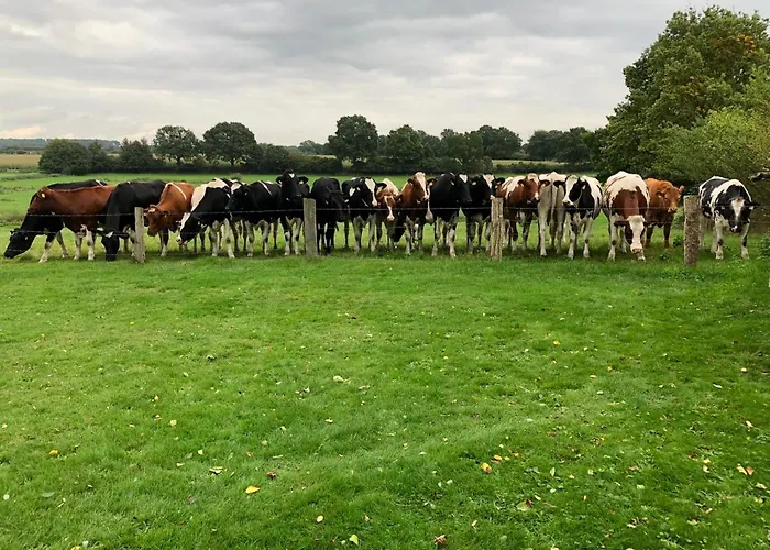 Dorfblick Vom Muckesberg