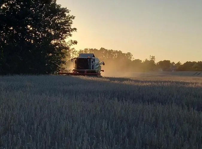 Dorfblick Vom Muckesberg Διαμέρισμα *