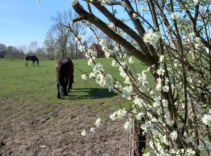 Dorfblick Vom Muckesberg Lägenhet Lübeck