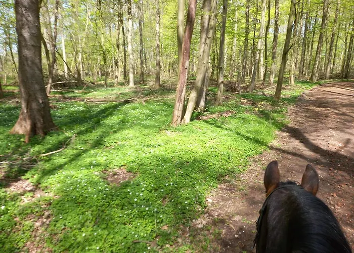 Dorfblick Vom Muckesberg Lübeck